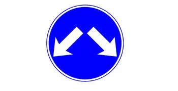 תמונה לשאלת תאוריה 0552: מה פירוש התמרור?